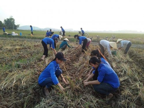 Làm chủ khoa học công nghệ, góp phần xây dựng nông thôn mới